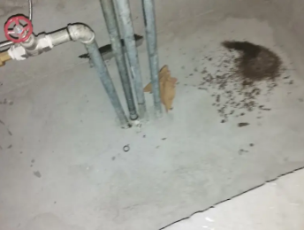 房山卫生间测漏水价格明细